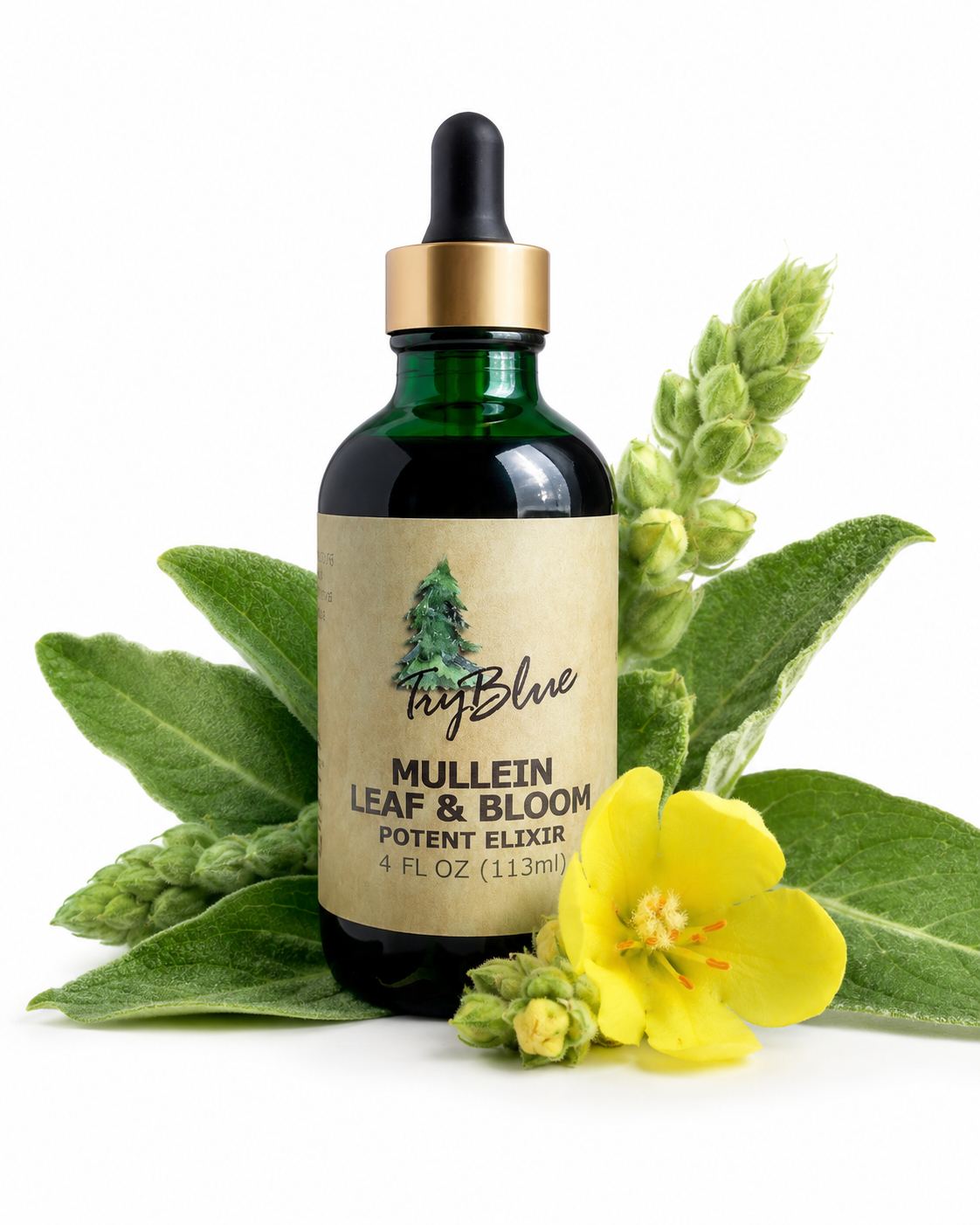 Mullein Leaf & Bloom Elixir