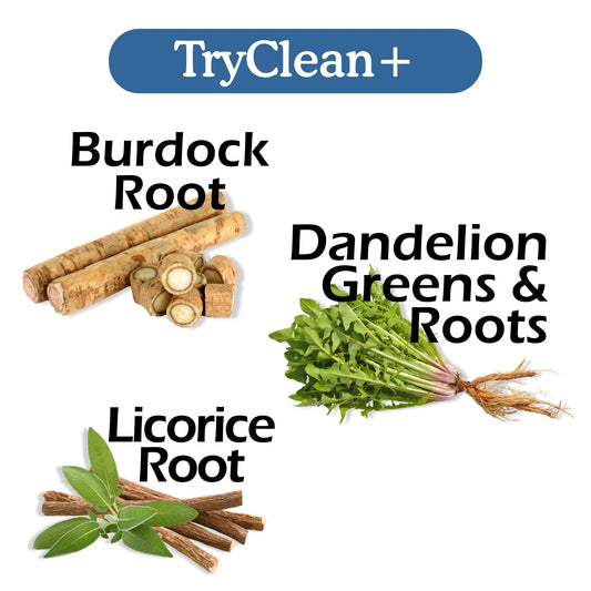 TryClean Plus Bundle