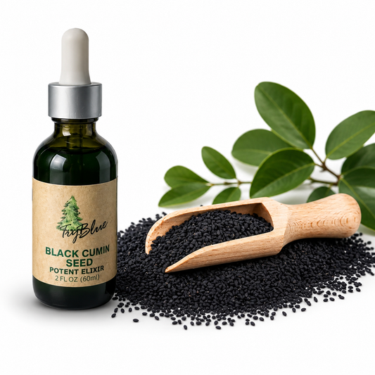 Black Cumin Seed Elixir